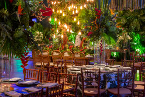 domus 11.24.2018-32
